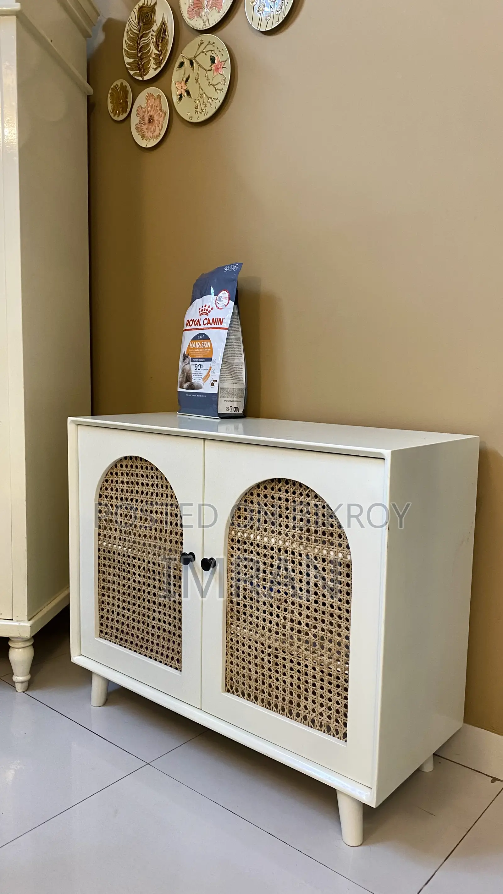 Cabinet (White)