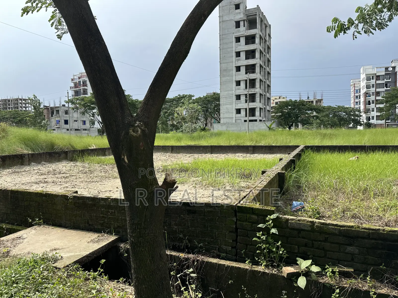 ব্লক-এন,৩-কাঠা,দক্ষিন-মুখি,নেয়ার- সেন্টাল মসজিদ,,বসুন্ধরা আ/এ
