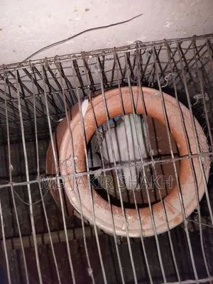 সেটাপ সহ বিক্রি ৫ টা বাচ্চা