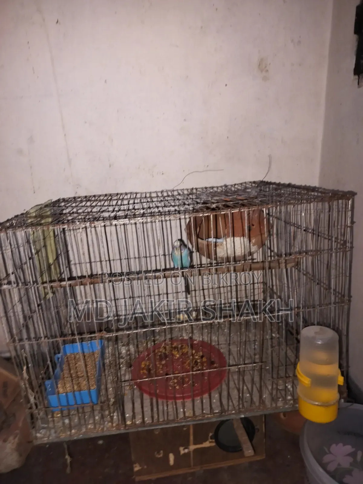 সেটাপ সহ বিক্রি ৫ টা বাচ্চা