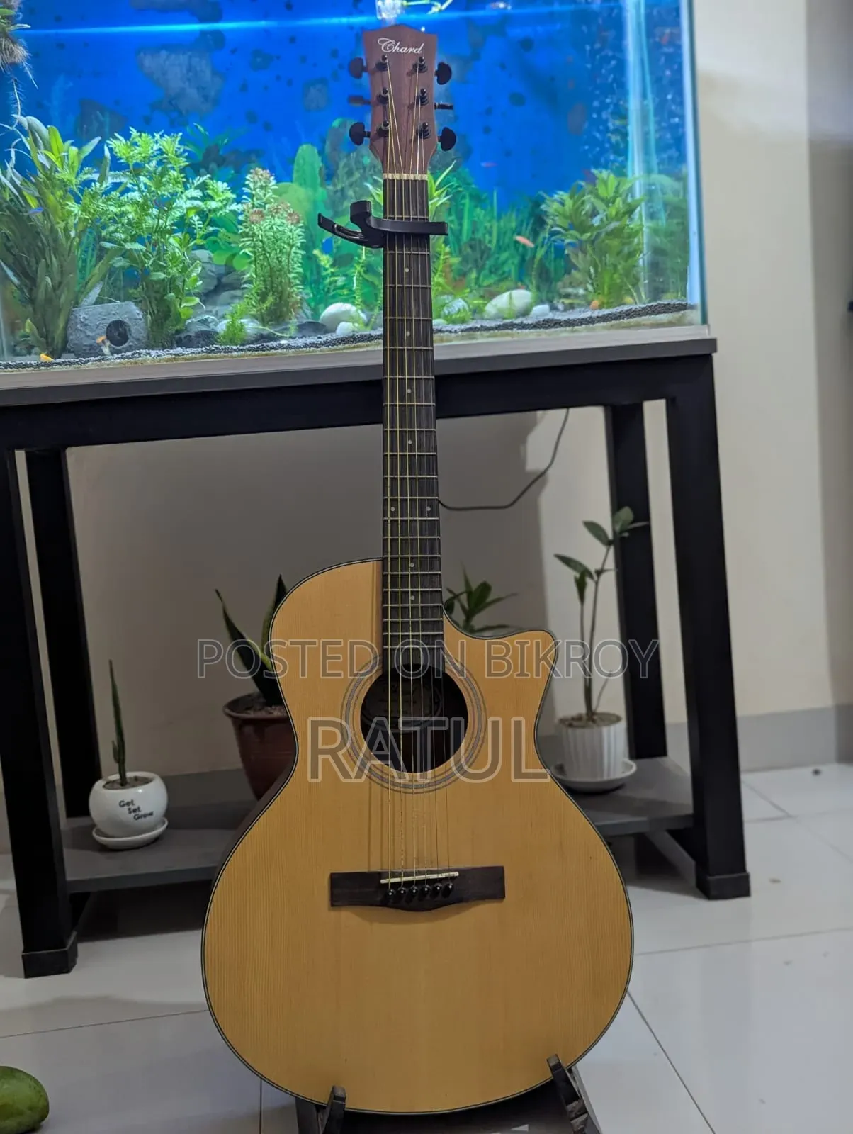 Guitar With Stand