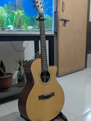 Guitar With Stand