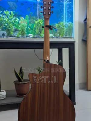 Guitar With Stand