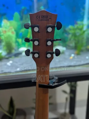 Guitar With Stand