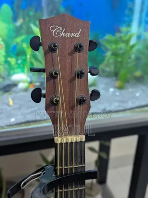 Guitar With Stand