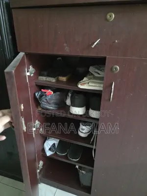 Shoe Cabinet and Storage