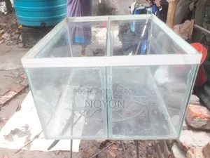 অ্যাকুরিয়াম