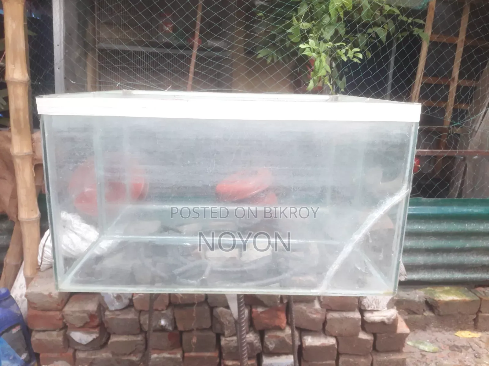 অ্যাকুরিয়াম
