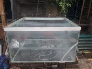 অ্যাকুরিয়াম