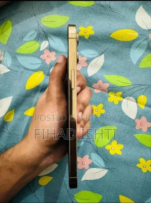 Apple iPhone 12 Pro Max 512 GB Gold