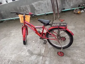 Duranta 20” Cycle