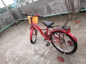 Duranta 20” Cycle