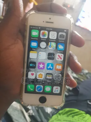 Apple iPhone 5s 16 GB