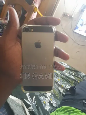 Apple iPhone 5s 16 GB