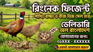 রিং নেট ফ্রিজেন এর বেবি অ্যাভেলেবেল