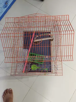 China bird cage 18x12x22, call if you want to buy