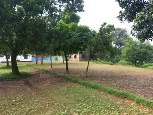 উঁচু জমি বিক্রয়