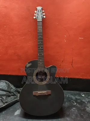 Signature Brand Guiter for Sell