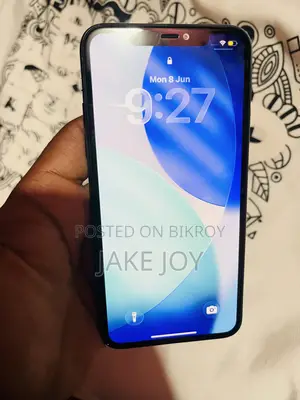 Apple iPhone 11 Pro Max 256 GB Blue