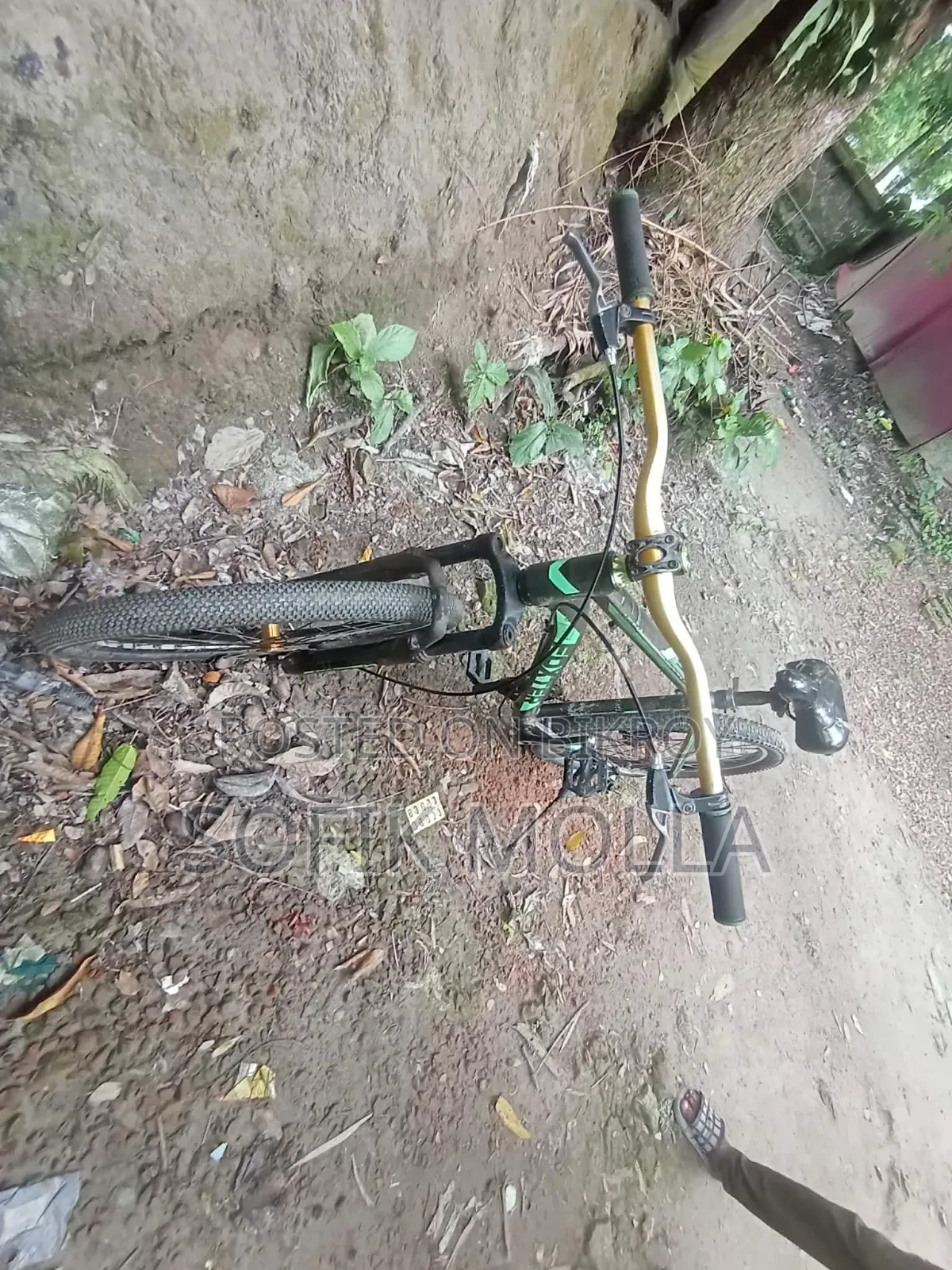 Bicycle for sale at a low price