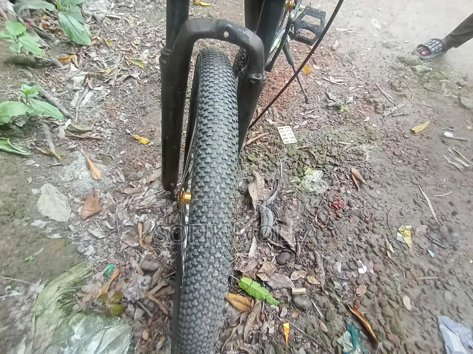 Bicycle for sale at a low price