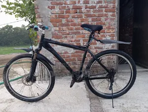 Raleigh Bicycle