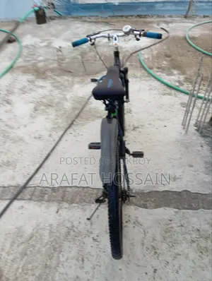 Raleigh Bicycle
