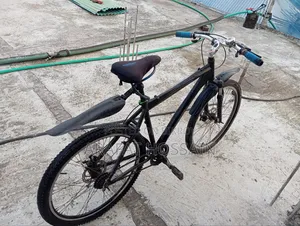 Raleigh Bicycle