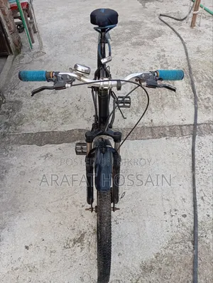 Raleigh Bicycle