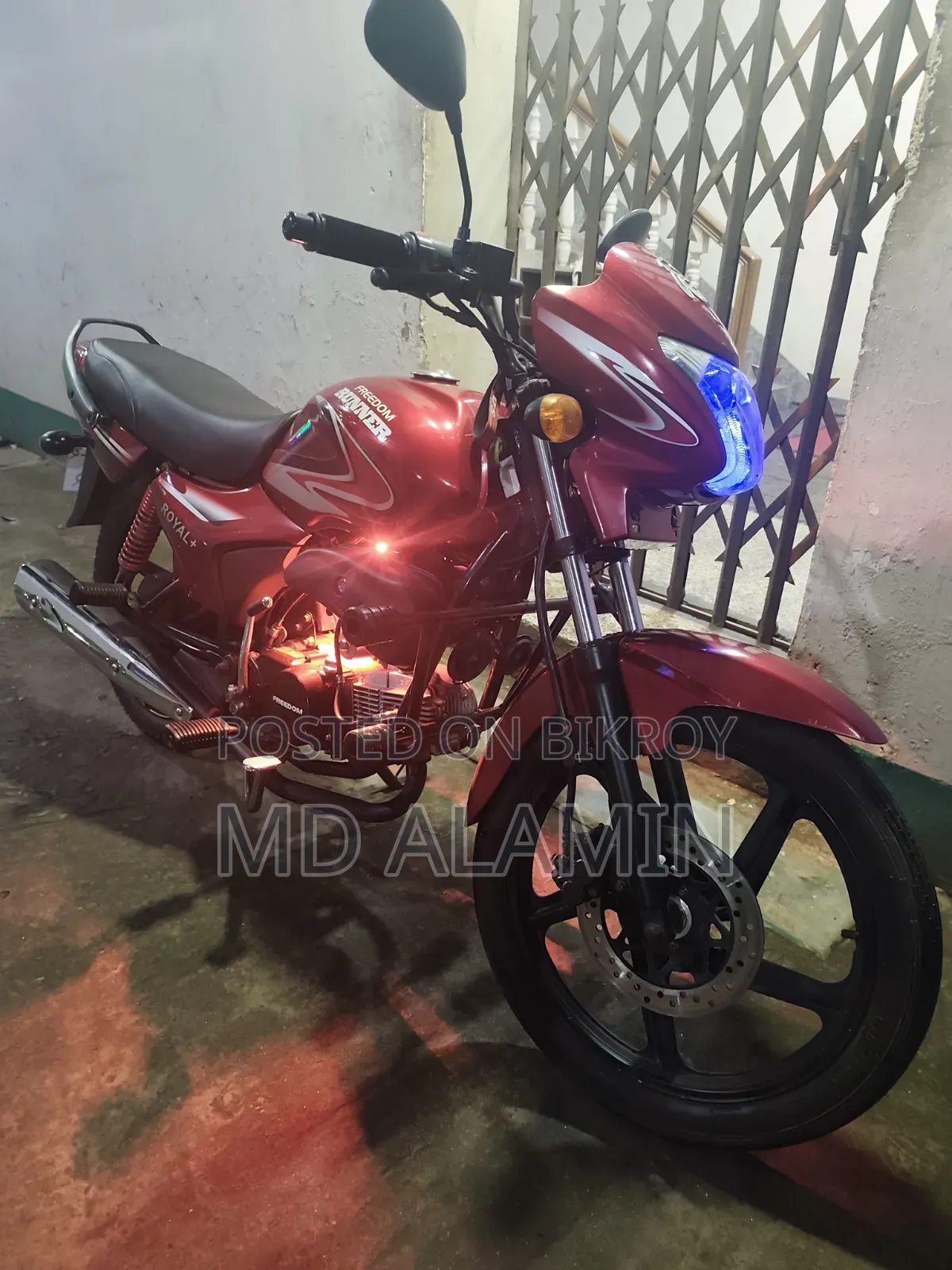 নতুন রানার রয়্যাল+ ভি২ ২০১৬ লাল