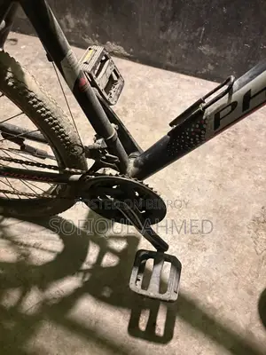 Phonenix Crous Cycle