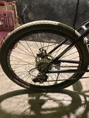 Phonenix Crous Cycle