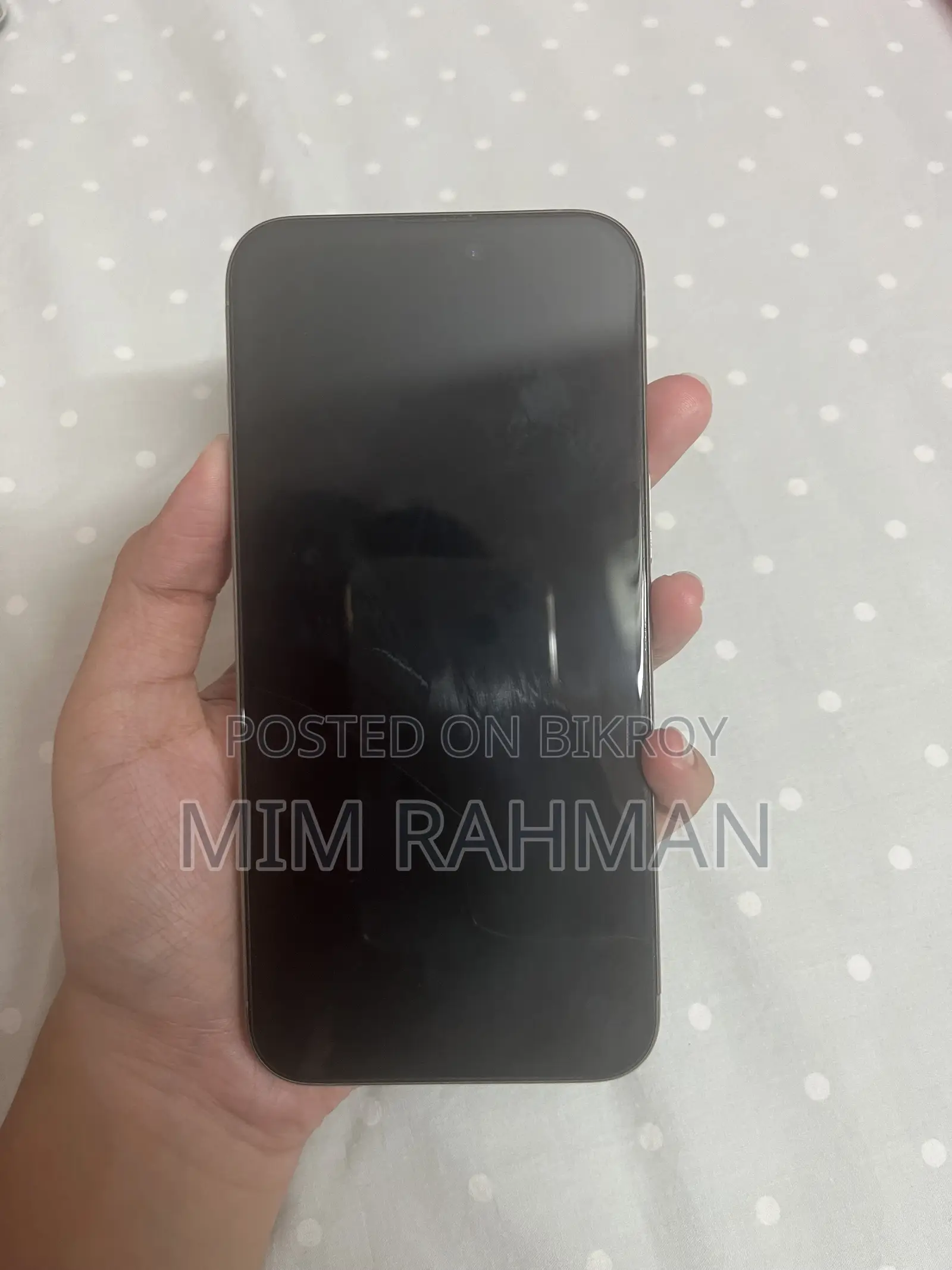 Apple iPhone 15 Pro Max 256 GB Gray