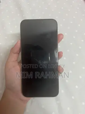 Apple iPhone 15 Pro Max 256 GB Gray
