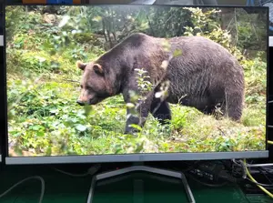 Hp M22f Ips Borderless Fhd Monitor
