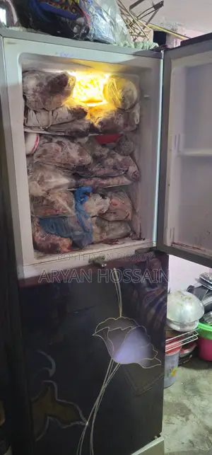 ভিশন ফ্রিজ