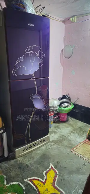 ভিশন ফ্রিজ
