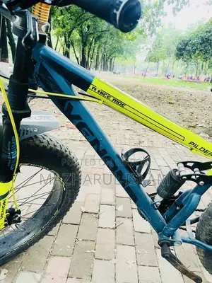 ফ্যাট সাইকেল