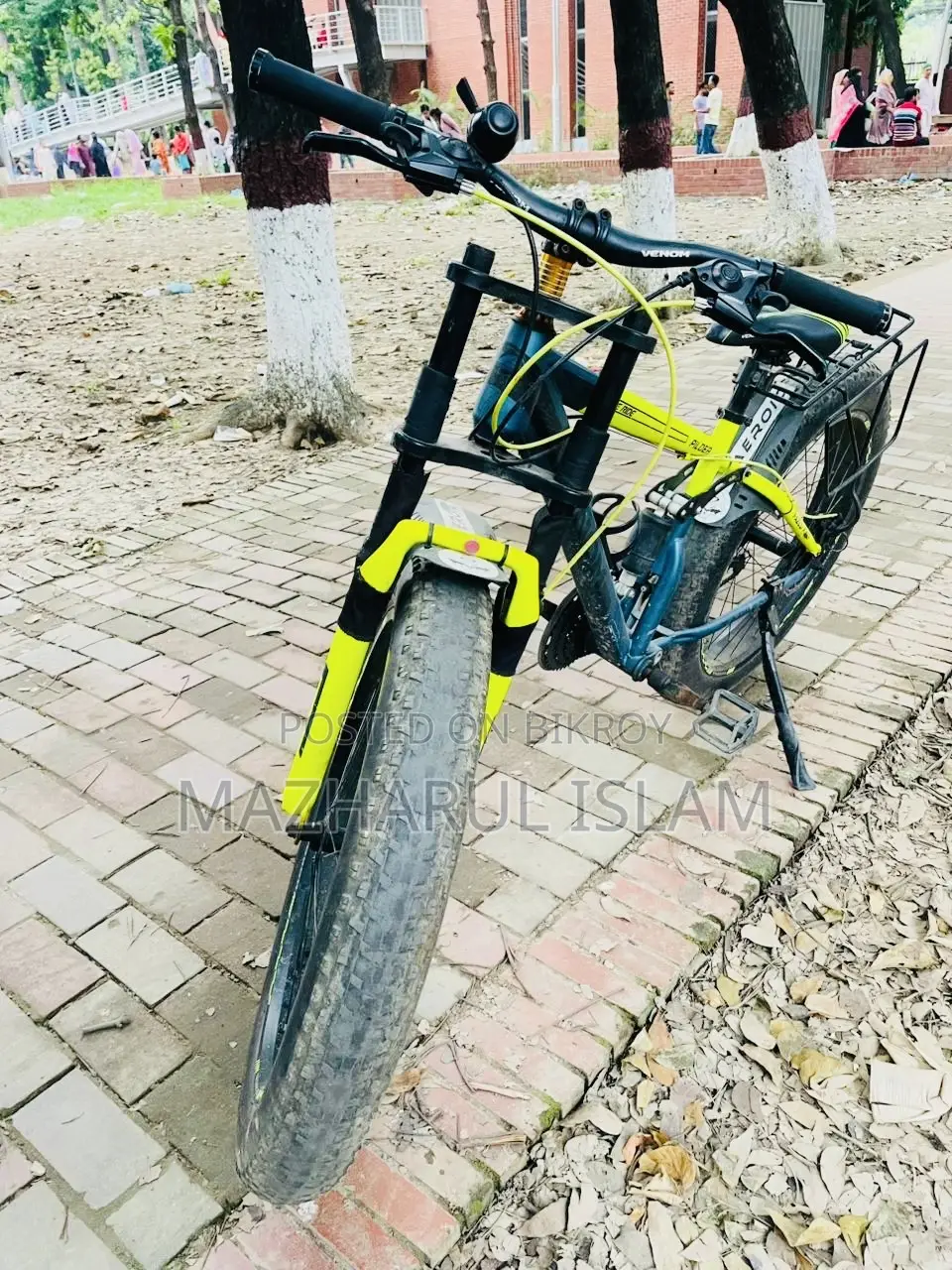 ফ্যাট সাইকেল