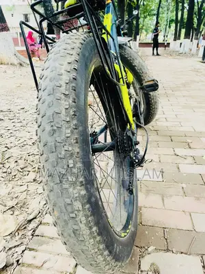 ফ্যাট সাইকেল