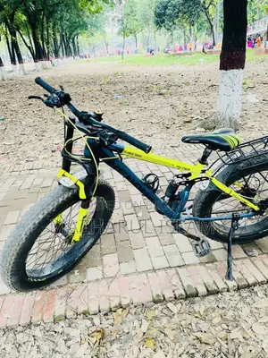 ফ্যাট সাইকেল