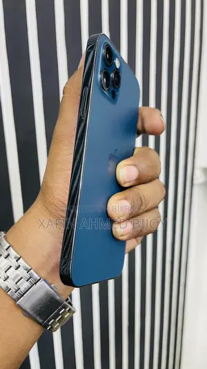 অ্যাপল আইফোন ১২ প্রো ২৫৬ জিবি নীল