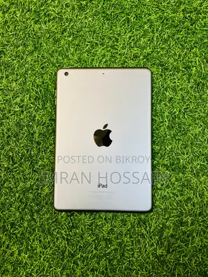 Apple iPad mini 2 16 GB Silver