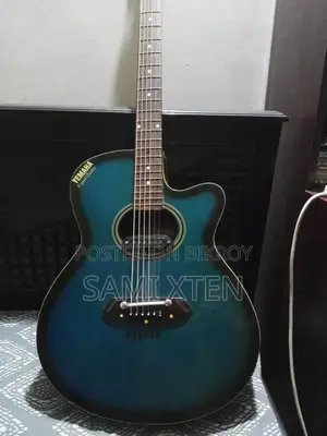 Electric Guitar for Sale/-