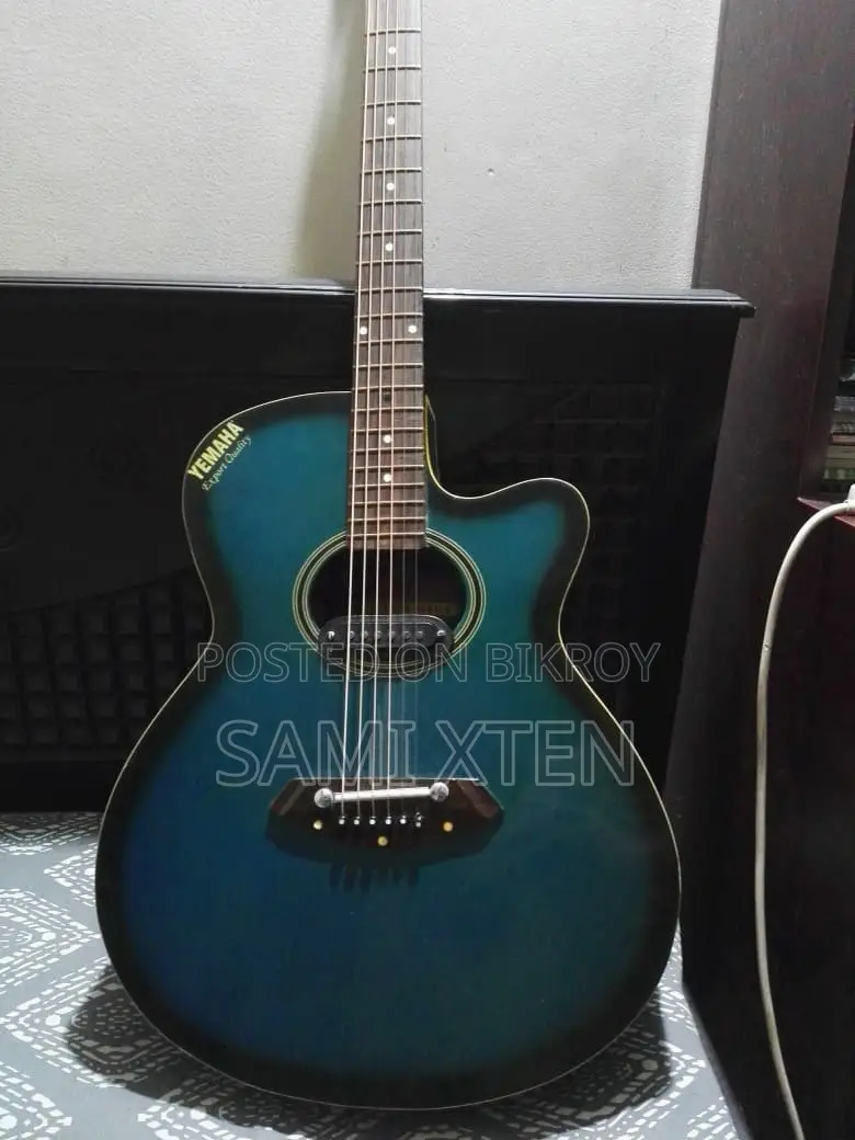 Electric Guitar for Sale/-