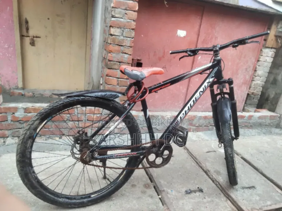 Phoenix Aluminium Cycle