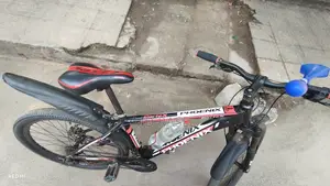 Phoenix Bicycle