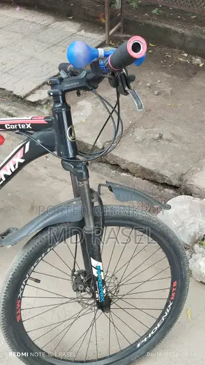 ফিনিক্স বাইসাইকেল
