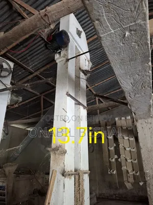 Rice Mill Elevator