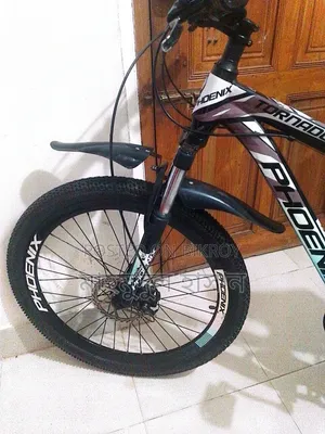 Original Phoenix Bicycle